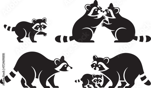 Set of wild raccoons family. Adult raccoons play. Cute raccoon calf. Clever wild animals