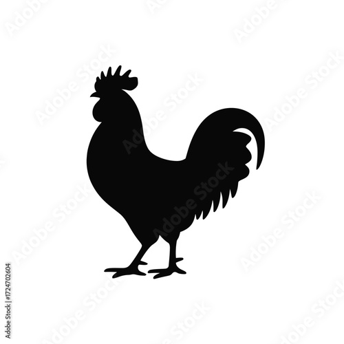 Black rooster silhouette standing profile white bird