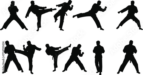 Martial arts silhouette, karate pose, taekwondo kick, black figure, combat stance, self-defense, athletic movement, dynamic action, training, discipline