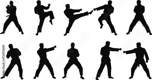 Martial, arts, combat, silhouette, kick, punch, stance, defense, training, technique, movement, athlete, action, self-defense, discipline, agility, pose, sparring, fitness, figh