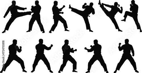 Martial, arts, combat, silhouette, sparring, kick, punch, stance, defense, training, technique, movement, athlete, action, self-defense, discipline, pose, agility, fitness, figh
