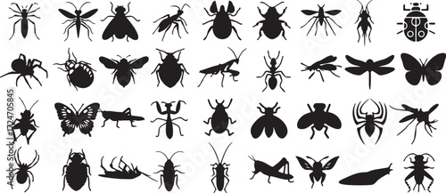 beetle, collection, vector, white, nature, butterfly, spider, comprehensive, insects, offering, grasshoppers, entomology, grasshopper, insect, black, silhouettes, butterflies, silhouette, dragonfly, a