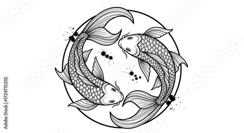 Elegant Koi Fish Drawing Yin Yang Symbol Harmony Black and White