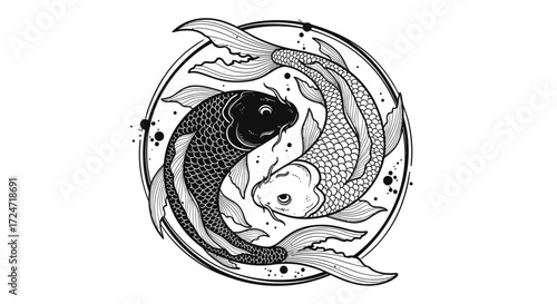 Elegant Yin Yang Koi Fish Hand Drawn Illustration