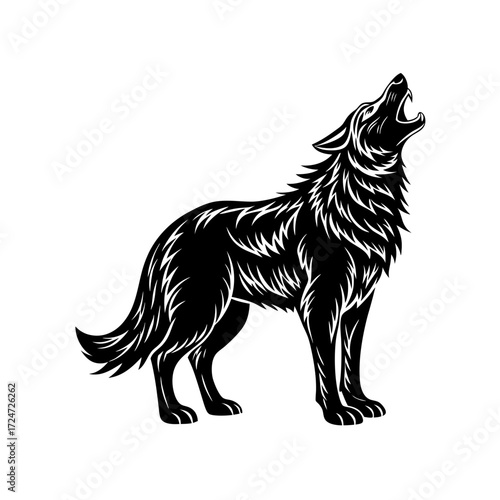 wolf black and white