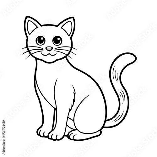 black and white cat