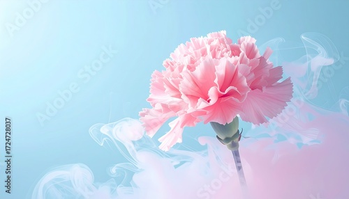 Delicate pink carnation in soft pastel smoke (1)