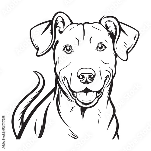 Cute dog set and sizes against a plain background showcasing diversity in dog breeds	
