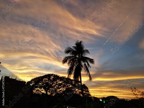 Stunning sunset with fiery clouds and a prominent palm tree silhouette, offering a peaceful evening view