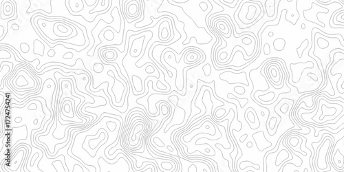 Minimal white line geometric grid outline curve counter map and wavy topography relief discovery area white, black line texture background.	
