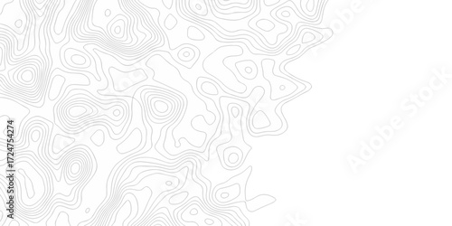 Minimal white line geometric grid outline curve counter map and wavy topography relief discovery area white, black line texture background.	
