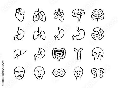 Vector icon set illustrating human organs medical health technology and science graphic elements vector
