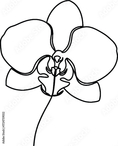 Orchid minimalist one line illustration Delicate orchid drawn in continuous line art symbolizing exotic beauty refinement and sophistication