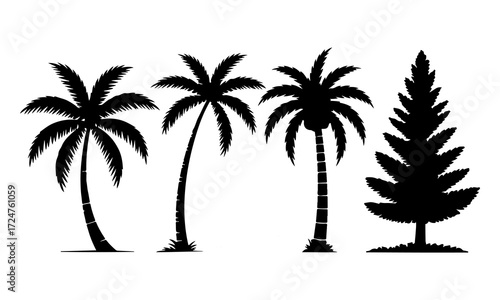 Silhouette of palm trees