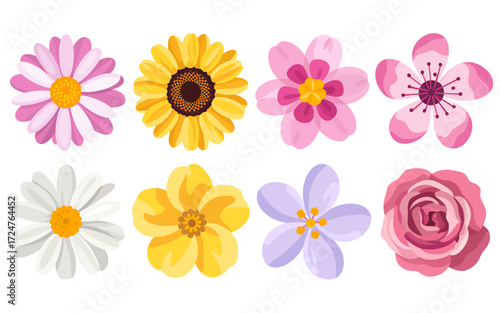 A vibrant collection of eight diverse floral illustrations