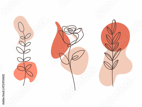 Minimalist botanical illustration set of various plants