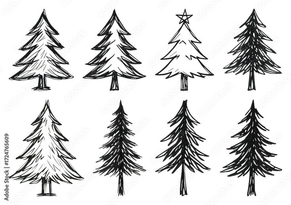 Obraz premium PNG Hand-drawn evergreen tree illustrations, element set on transparent background