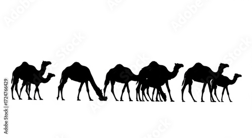 Silhouette of a camel caravan walking across a white background in a desert landscape scene is shown