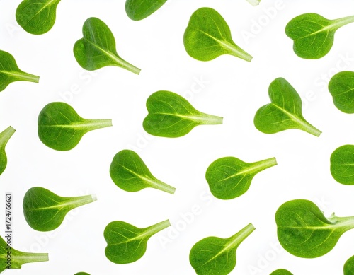 A repeating pattern of vibrant green lamb's lettuce leaves artfully arranged against a stark white background