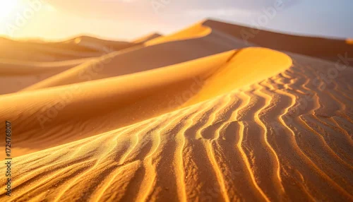 Fototapeta samoprzylepna Desert sand dunes sunrise