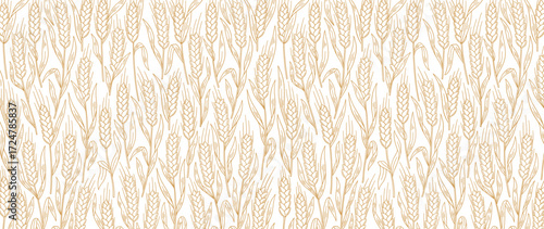 Cereal wheat straw pattern background. Ears of wheat, rye or barley. Wrapping paper for bread.