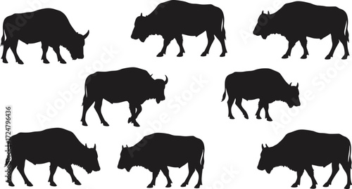 Bison silhouette, walking pose, wildlife movement, animal profile, nature icon, muscular body, black illustration, prairie life, strength, rugged terrain