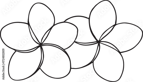 Simple plumeria flower outline with five petals in black and white