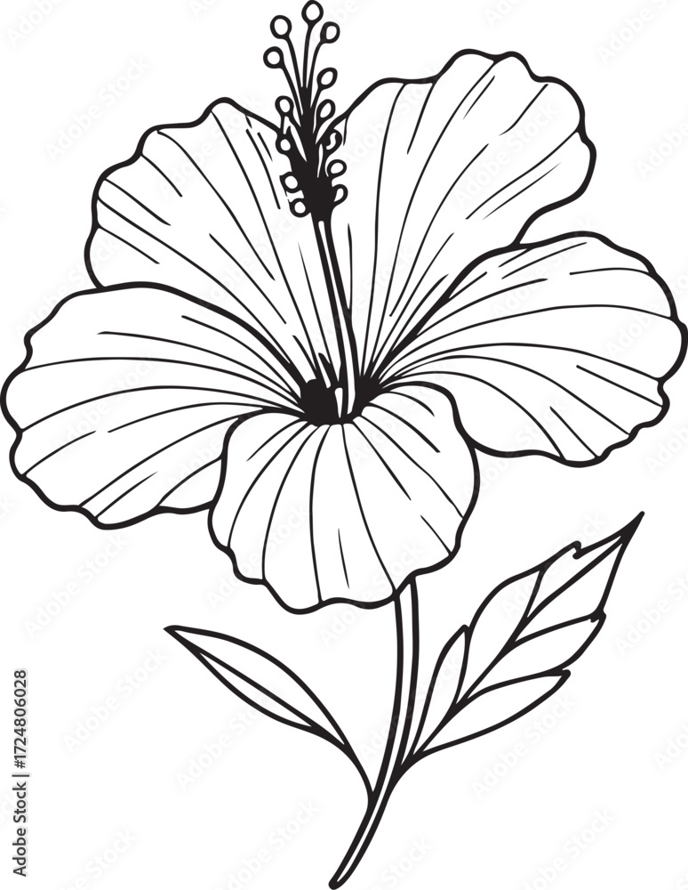 Fototapeta premium hibiscus line art silhouette vector illustration