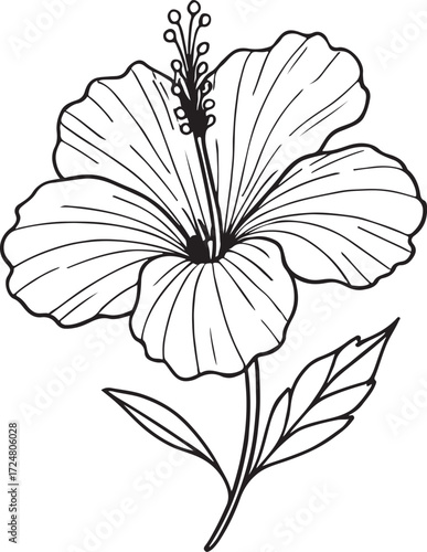 hibiscus line art silhouette vector illustration
