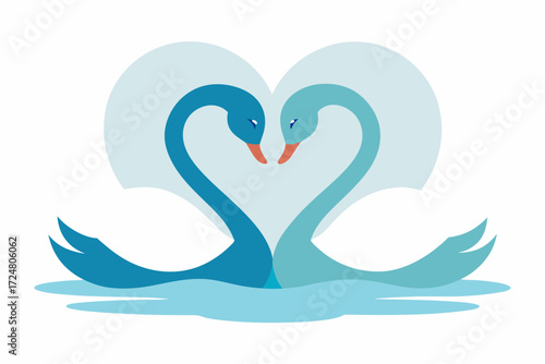swans on the lake