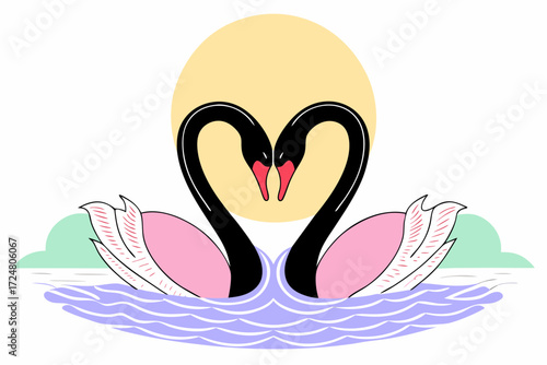two swans on the water