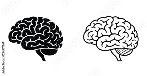 Stylized human brain icon set in black and white with visible folds and side view, ideal for medical, anatomy, science, and education themes