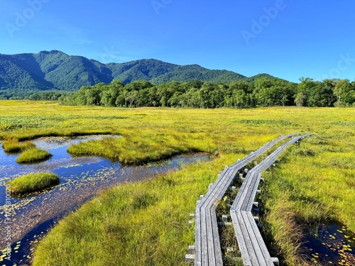 Ozegahara Wetland and Wooden Boardwalk, Oze National Park, Gunma, Japan