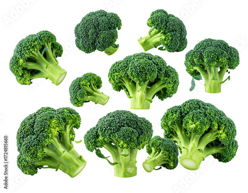 Fresh broccoli florets arranged in a cluster