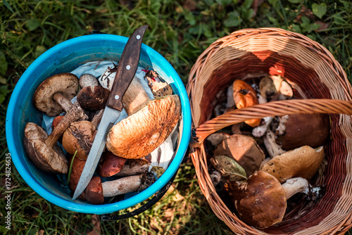 Basket of porcini mushrooms in the forest