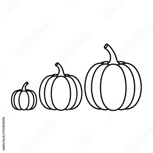Three pumpkins of varying sizes, illustrated in a simple line art style, suggesting growth or comparison