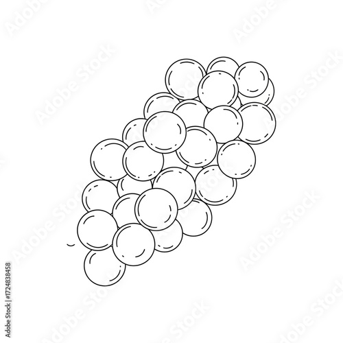 Vector line art illustration of a grape bunch. A simple, minimalist outline drawing of fruit, perfect for logos, icons, and agricultural design concepts