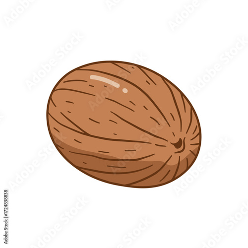 Icon of a whole nutmeg in a detailed and realistic design
