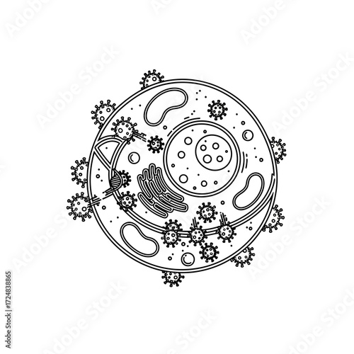 Microscopic view of a cell surrounded by viruses, illustrating a biological threat and cellular invasion at a microscopic level