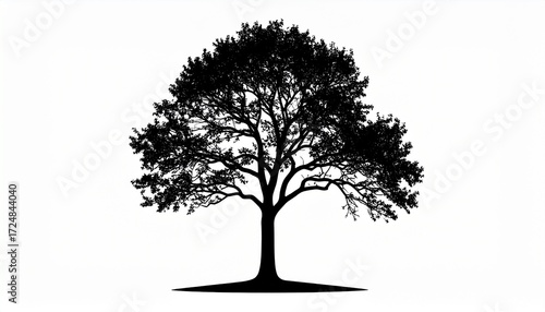 tree silhouette isolated on white