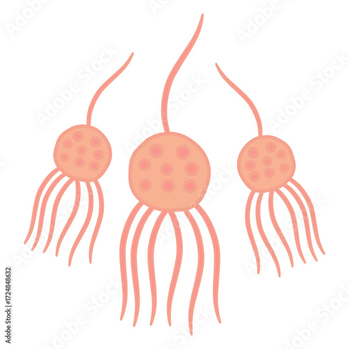 Chytridiomycota Fungi