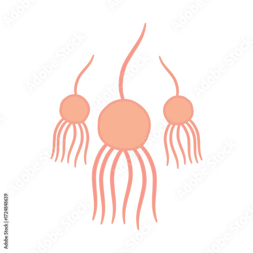 Chytridiomycota Fungi