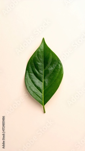 Single vibrant green leaf on pale background