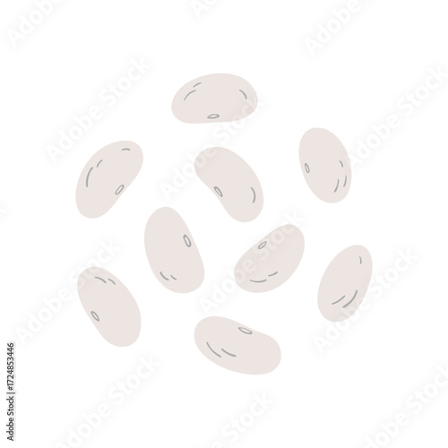 Navy Beans Illustration