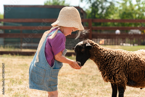 Little child girl on a farm stroking cute brown sheep