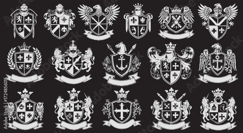 vintage-inspired, hand-drawn vector collection of various heraldic shields and emblems in a classic chalkboard style.