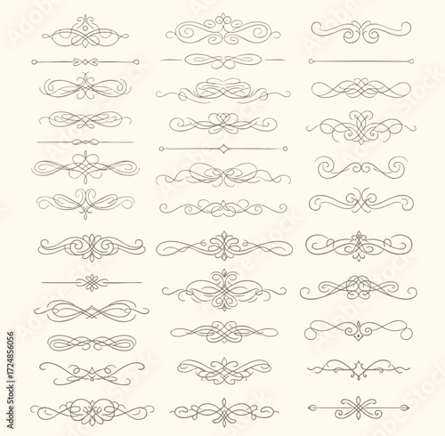 Calligraphic Design Elements and Page Decoration. vintage vector hand drawn swirls for design