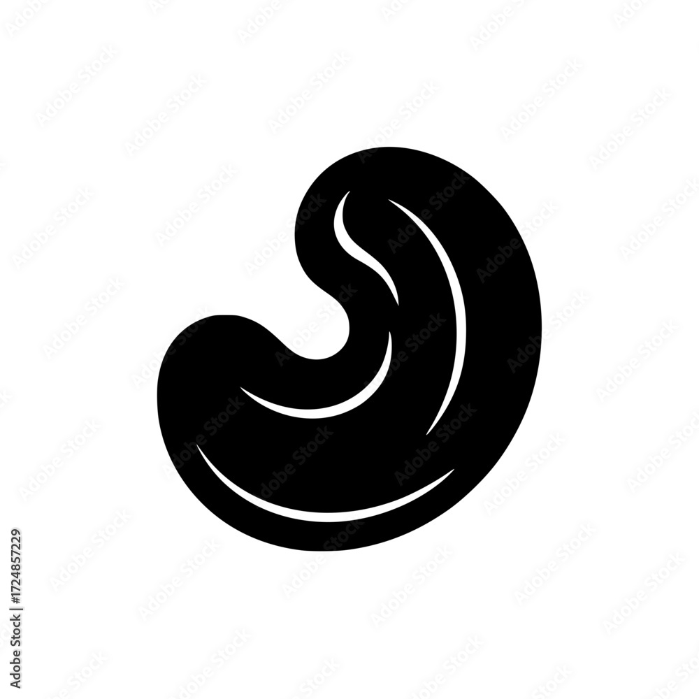 Fototapeta premium Black silhouette of a single cashew nut