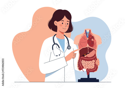 Doctor pointing at human anatomy model for medical education and healthcare illustration.