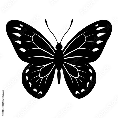 butterfly vector illustration
